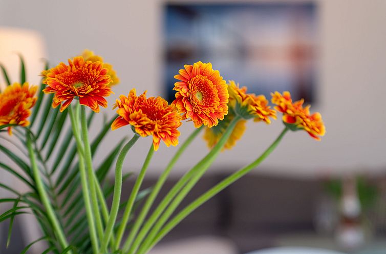 Appartement Stolzenfels