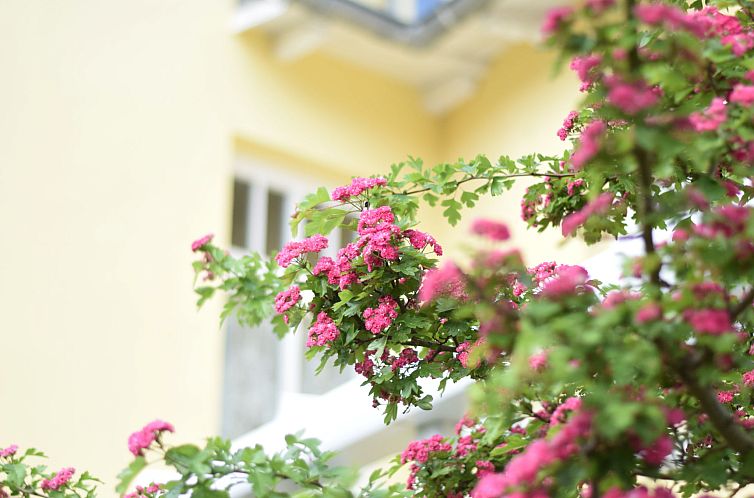 Appartement Stolzenfels