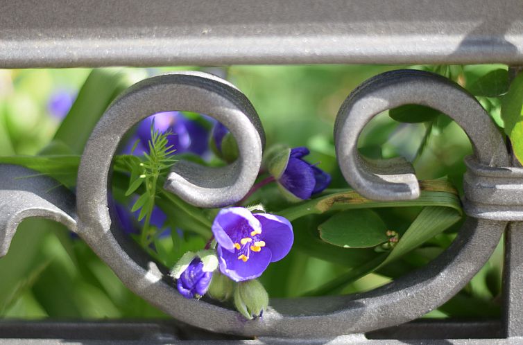 Appartement Stolzenfels