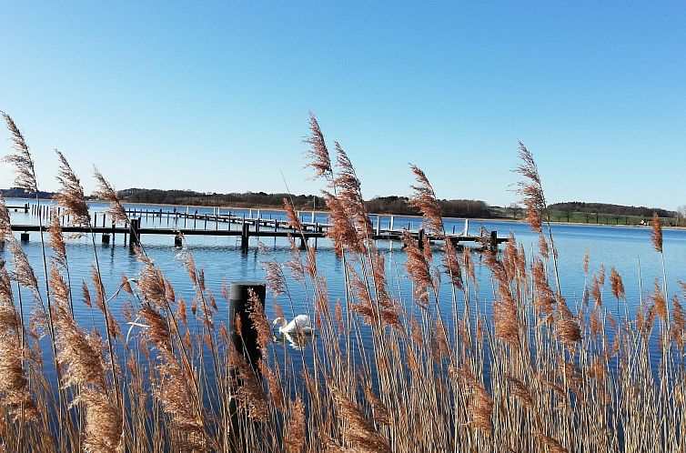 Appartement Maisonette-Wohnung direkt am Selliner See