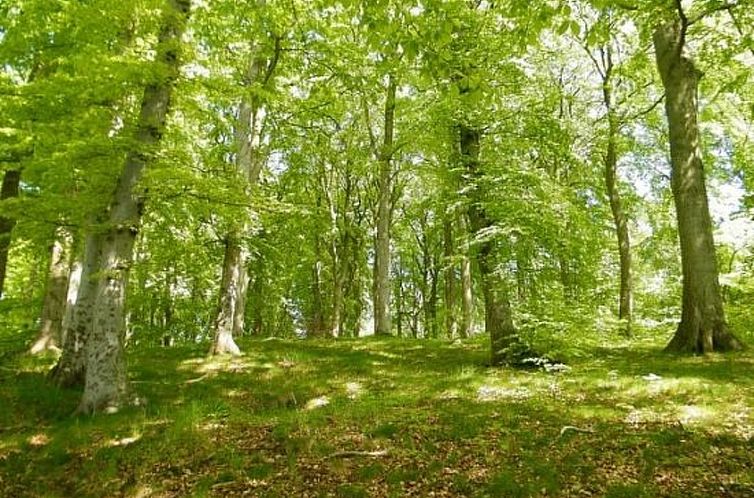 Appartement Villa Celia Sellin