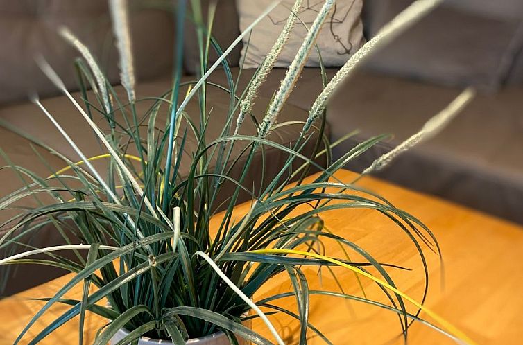 Appartement Zeesenhaus 6