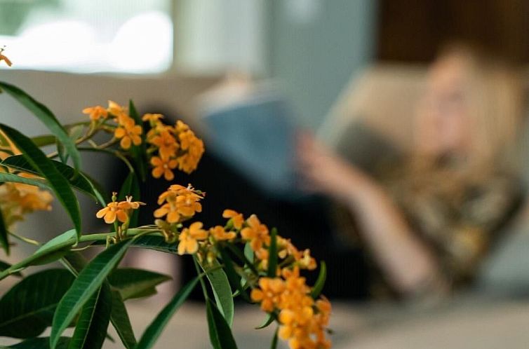 Appartement Gemütliche Wohnung mit Pool, Garten und Sauna