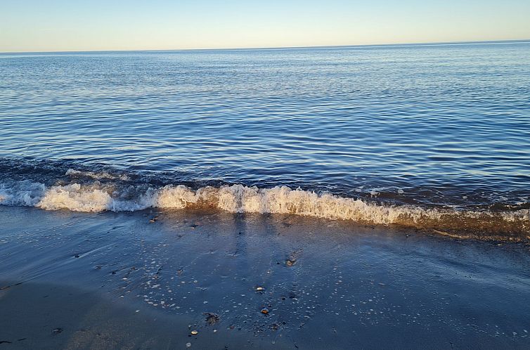 Appartement Portals Vells