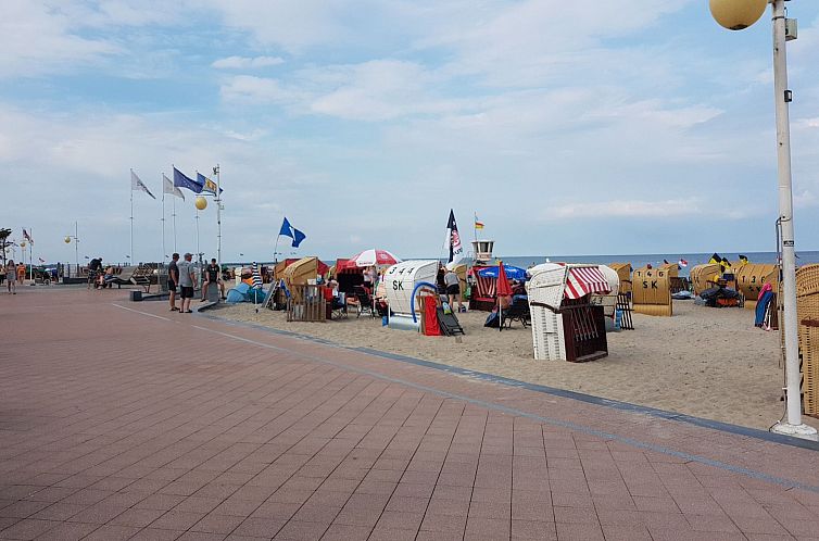 Appartement Portals Vells