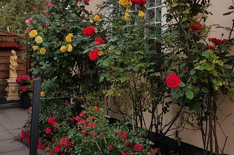 Appartement Portals Vells