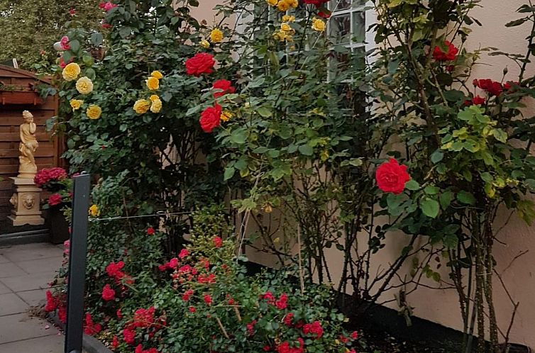 Appartement Es Trenc