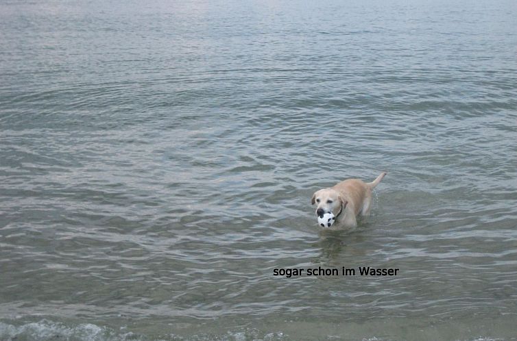 Appartement Entspannen auf der Südterrasse