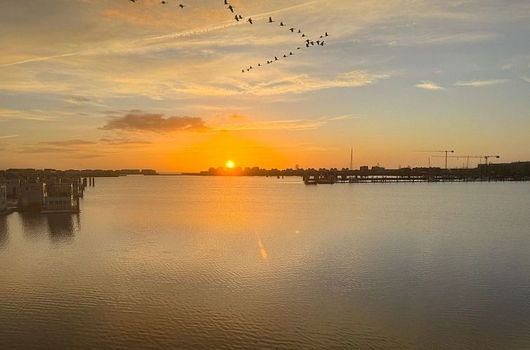 Vakantiehuis Schleivilla Kapitän James Cook2,  Löwen Dart 
