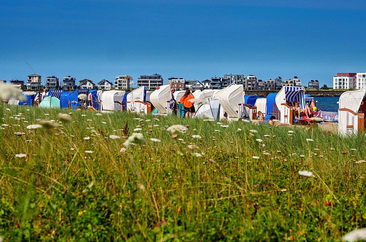 Vakantiehuis Schleivilla Kapitän James Cook2,  Löwen Dart 