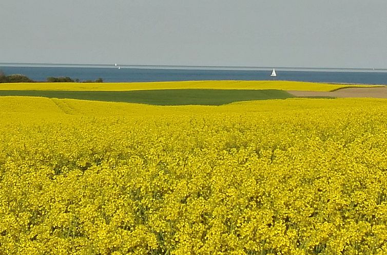 Appartement 'Heile Welt' bei Maasholm