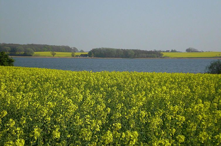 Appartement Wohnung in Kappeln mit Terrasse