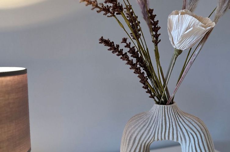 Vakantiehuis Das Schleihaus "Hinterm Deich" - genießen Sie 