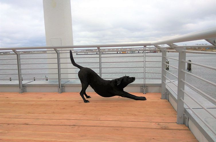 Vakantiehuis Marina Villa