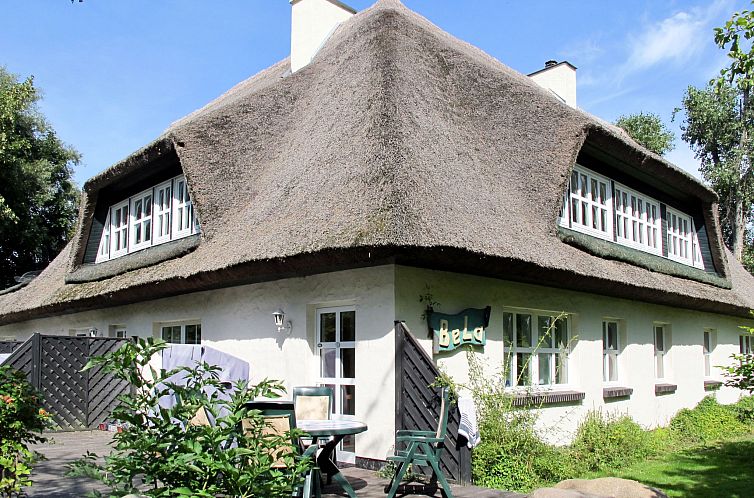 Guest house 03035103 - Apartment Baltic Sea - Appartement Bela 3