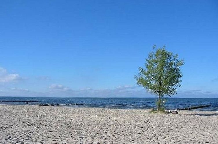 Appartement Appartement in Ueckermünde mit Botanischem Gart