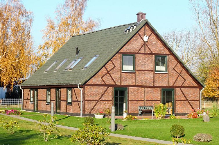 Guest house 03035511 - Holiday property Baltic Sea - Vakantiehuis Kiebitz