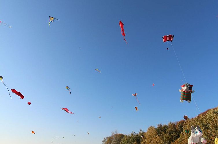 Vakantiehuis Mermaid