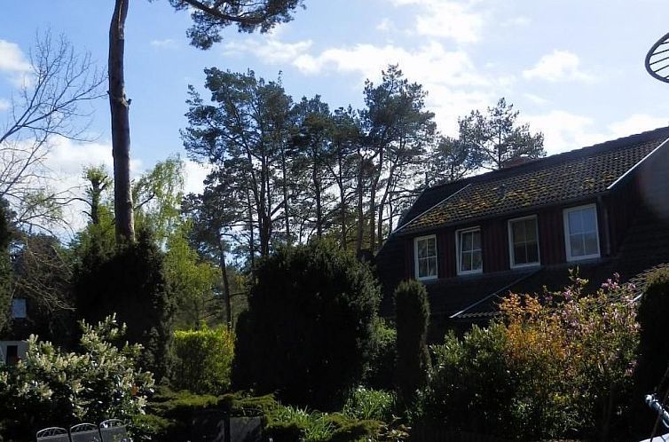 Appartement Wohnung Verlies