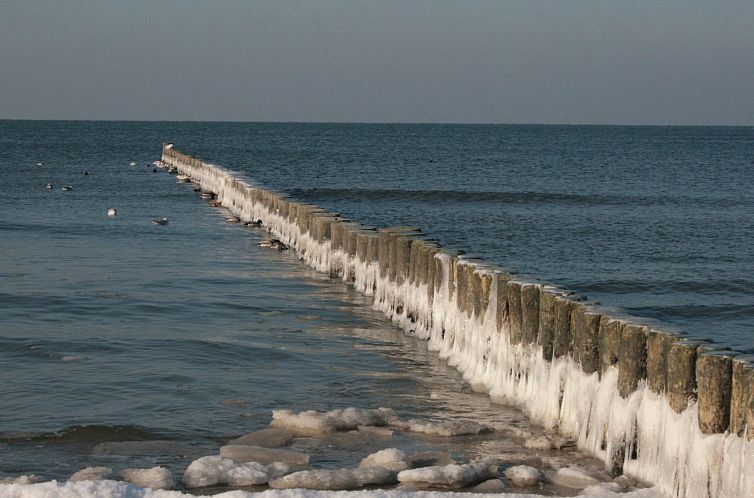 Vakantiehuis Gemütliches Ferienhaus mit eigener Terrasse