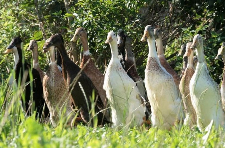 Vakantiehuis mit Meerblick - direkt an der Ostsee