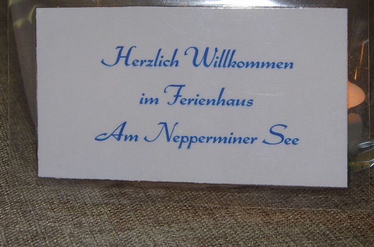 Vakantiehuis am malerischen Nepperminer See