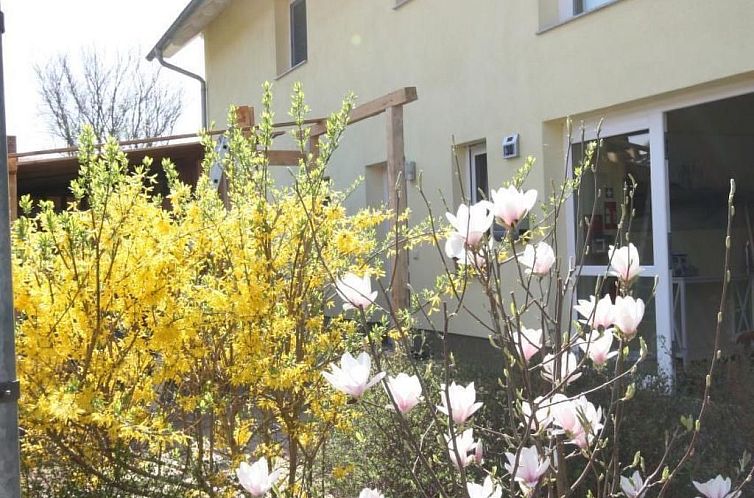 Appartement Wohnung in Koserow mit Garten und Grill und Nebe
