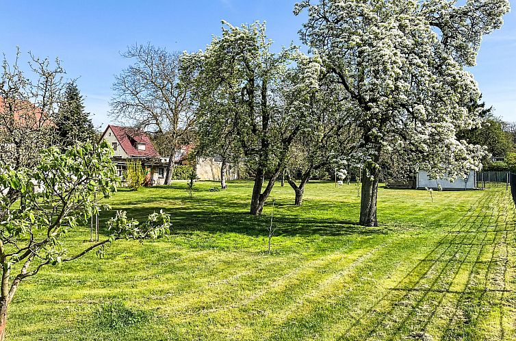 Appartement Burgfried (App. 2)