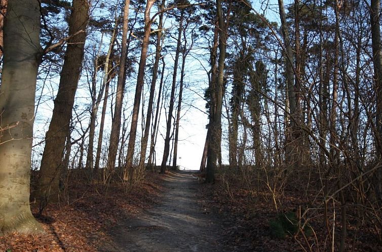 Appartement Black Pearl