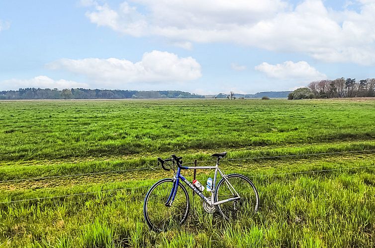 Vakantiehuis Kapitänshaus Leo