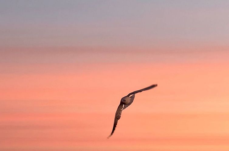 Appartement Stormy im Nauticum