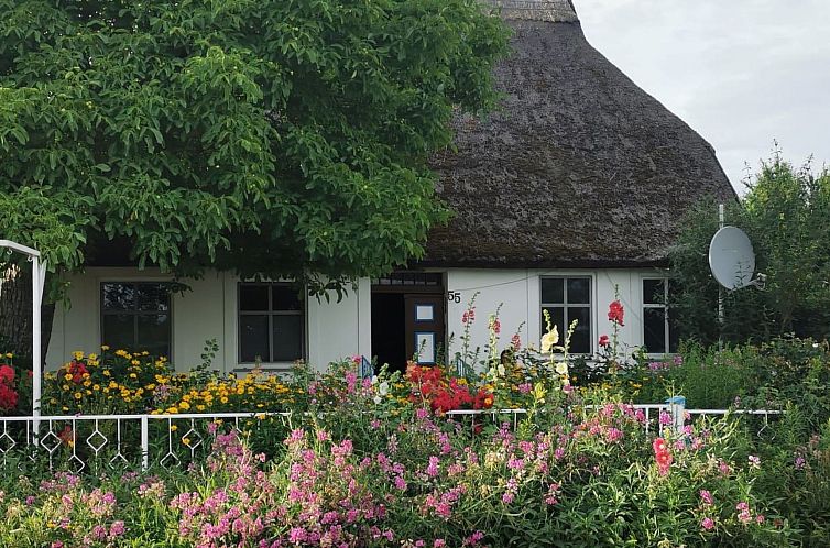 Appartement Wohnung für sechs Personen im Dachgeschoss