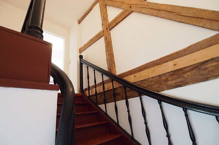 Appartement Galerie Mitte