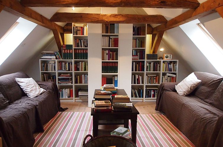 Appartement Galerie Mitte