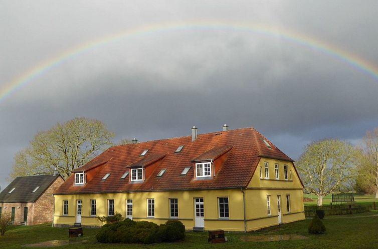Unterkunft 03040021 - Appartement Ostsee - Appartement Hochwertige Ferienwohnung in Gingst