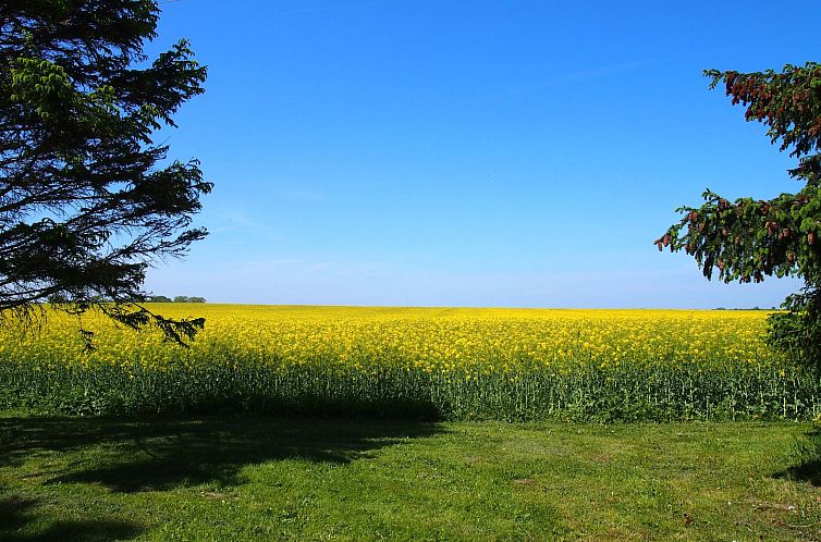 Appartement Hochwertige Ferienwohnung in Gingst
