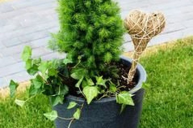 Vakantiehuis Fischer‘s 5 Sterne Ferienhaus Rügen