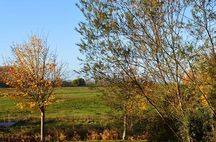 Appartement Komfortable Ferienwohnung in Waase mit Garten