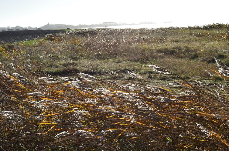Appartement Komfortable Ferienwohnung in Waase mit Garten