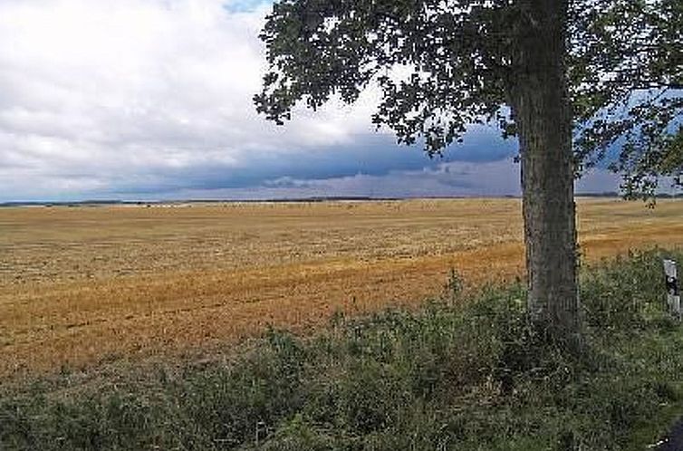 Appartement Boddenblick in Vieregge