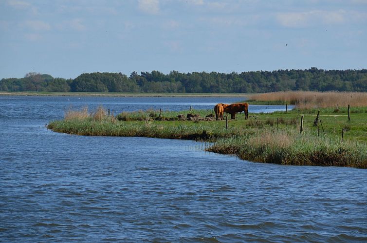 Appartement Wohnung für sechs Personen im Dachgeschoss
