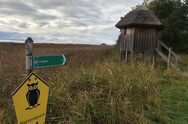 Appartement Traumhafte Ferienwohnung im Reetferienhaus