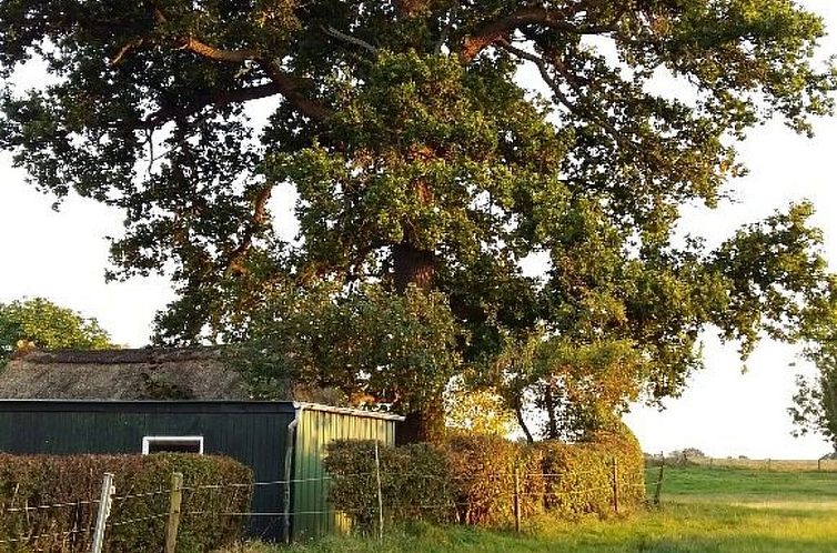 Vakantiehuis Familienfreundliches Einfamilienhaus "Adrian"