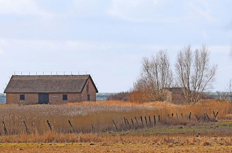 Appartement Landhaus "To Hus" - Fewo Störtebeker mit Kamin