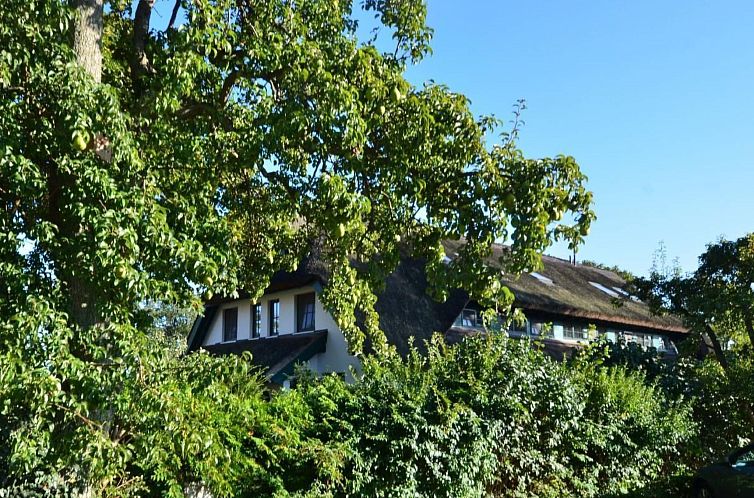 Vakantiehuis Haus Strandflieder