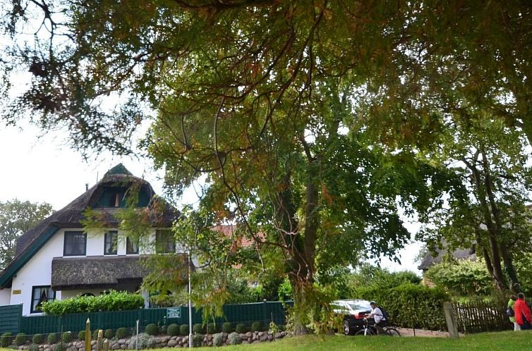 Vakantiehuis Haus Strandhafer