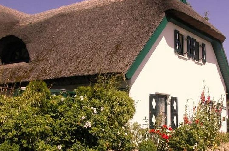 Unterkunft 03042645 - Ferienhaus Ostsee - Vakantiehuis Kapitänshaus