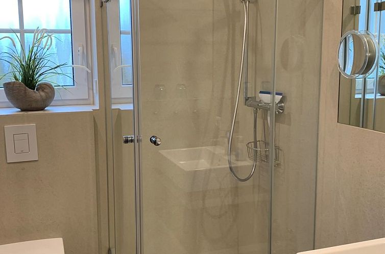 Appartement mit Terrasse