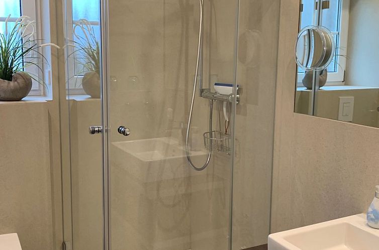 Appartement mit Terrasse