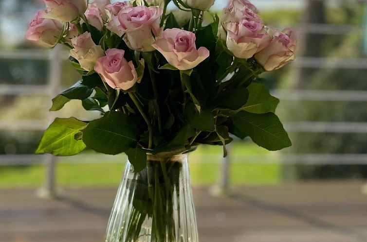 Vakantiehuis in Klingberg mit Seeblick